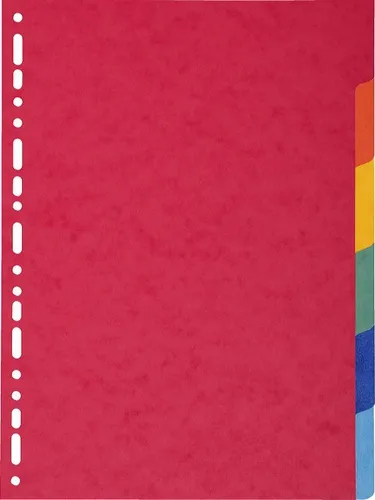 Exacompta Separadores Nature Future Cartulina Lustrada 225Gr 6 Posiciones A4 Colores