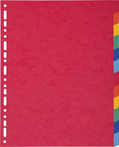 Exacompta Separadores Nature Future Cartulina Lustrada 225Gr 12 Posiciones A4+ C/Surtidos