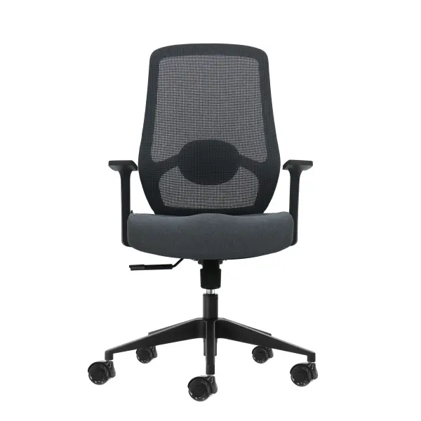 Oqonos Silla de Oficina Ergonomica con Soporte Lumbar Ajustable y Respaldo de Malla - Gris