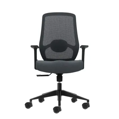 Oqonos Silla de Oficina Ergonomica con Soporte Lumbar Ajustable y Respaldo de Malla - Gris