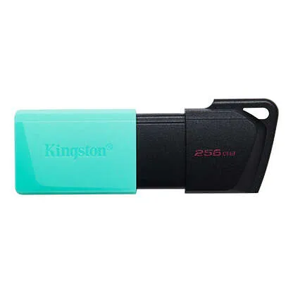 Kingston Exodia M 256GB USB 3.2 Memoria USB Flash Drive