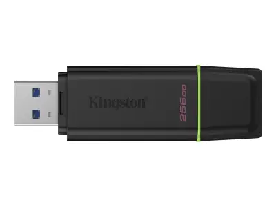 Kingston DataTraveler DTXG2 256GB USB 3.2 Gen1 Pen Drive