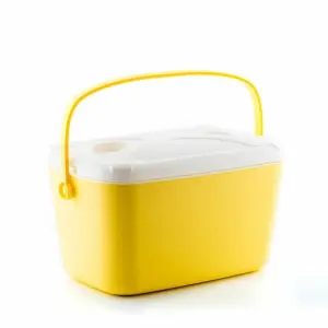 InnovaGoods Nevera Portátil Rígida 15L Estilo Retro Amarillo y Blanco 43x25x29cm