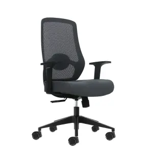 Oqonos Silla de Oficina Ergonomica con Soporte Lumbar Ajustable y Respaldo de Malla - Gris