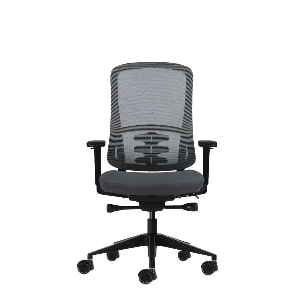Oqonos Cherg 020 Silla de Oficina Ergonomica con Mecanismo Autobalanceado y Reposabrazos 4D - Gris