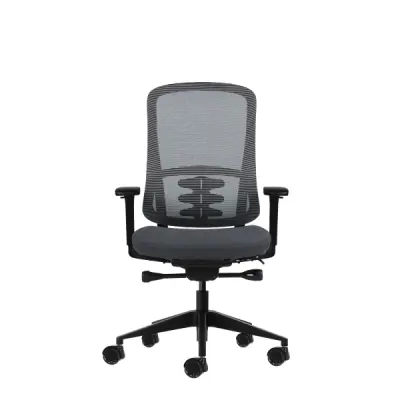 Oqonos Cherg 020 Silla de Oficina Ergonomica con Mecanismo Autobalanceado y Reposabrazos 4D - Gris