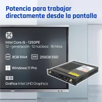 Miniatura 5