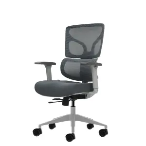 Oqonos Cherg 015 Silla de Oficina Ergonomica con Respaldo y Asiento de Malla Elastica, Reposabrazos 4D, Asiento Deslizable Ergonomico Moldeado y Ruedas de Silicona - Gris