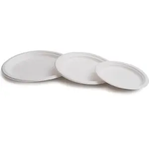Plato Biodegradable Caña De Azúcar 22,5cm Pack 50 Blanco