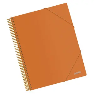 Dohe Carpeta A4 con 30 Fundas - Tapa Polipropileno 800 Micras, Fundas Transparentes 80 Micras, Espiral y Gomas Elásticas