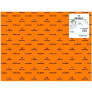 Iris Cartulina Naranja 50X65cm 185gr - Paquete de 25 Unidades