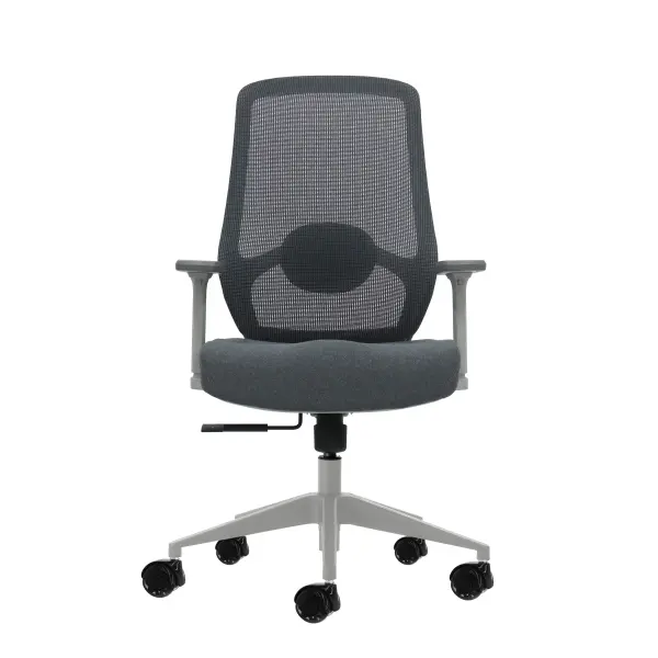 Oqonos Cherg 026 Silla de Oficina Ergonomica con Soporte Lumbar Ajustable, Reposabrazos 4D, Piston de Gas Clase 4, Asiento Moldeado - Gris