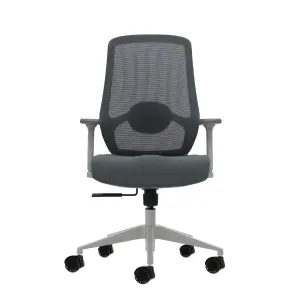 Oqonos Cherg 026 Silla de Oficina Ergonomica con Soporte Lumbar Ajustable, Reposabrazos 4D, Piston de Gas Clase 4, Asiento Moldeado - Gris