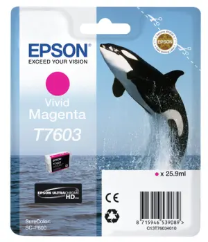 Epson T7603 Cartucho de Tinta Pigmentada Magenta - Reemplazo C13T76034010