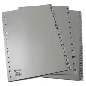 Grafoplás Separadores Numéricos A4 PP 1-31 16 Taladros Opaco Gris