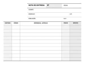 Apli Talonario Entrega 1/8 Apaisado Triplicado 210 x 148mm Copias Autocopiativas
