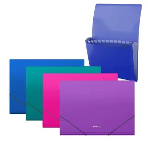 ErichKrause Carpeta Clasificador A4 con 12 Fundas - Acabado Mate - Colores Surtidos