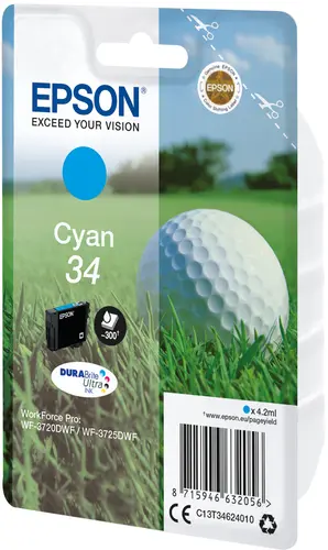Epson T3462 Cartucho de Tinta Original Cyan