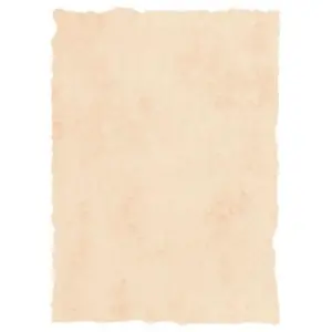 Michel Pergamino Troquelado 200gr A4 Pack 25 Unidades Beige