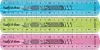 Maped Regla Flexible 20cm Irrompible Doble Graduación Colores Aleatorios