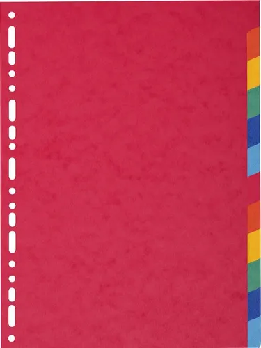 Exacompta Separadores Nature Future Cartulina Lustrada 225Gr 12 Posiciones A4 Colores