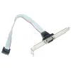 Gembird Cable DB9 Puerto Serie 10pin 0,25m