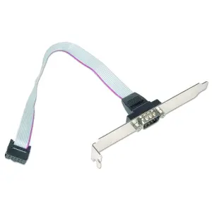 Gembird Cable DB9 Puerto Serie 10pin 0,25m